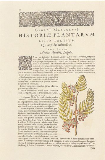 Historia Naturalis Brasiliae