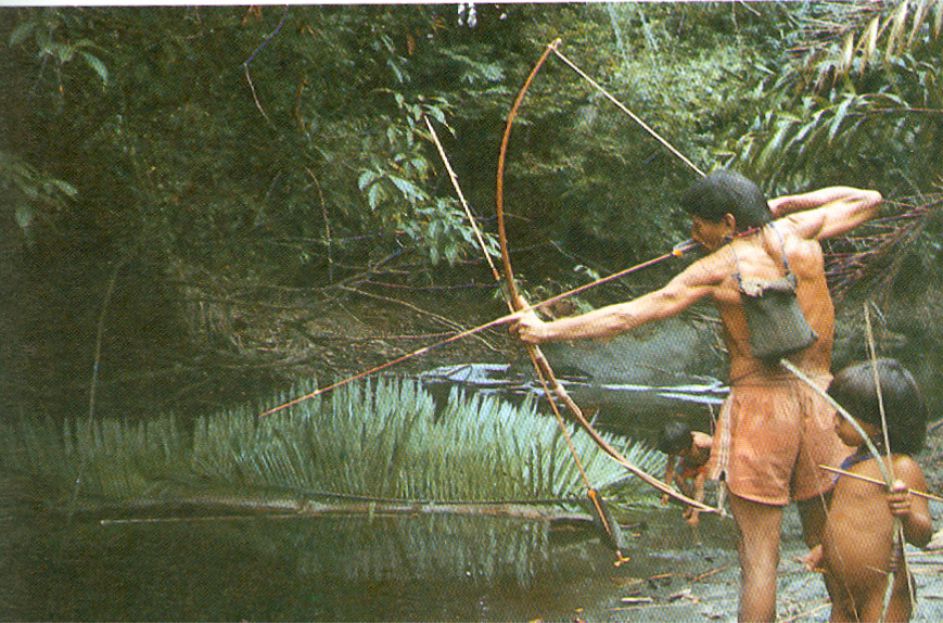 Pesca Araweté