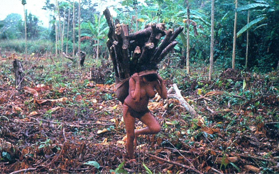 Mulher Yanomami na coleta de lenha