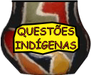 Questões Indígenas